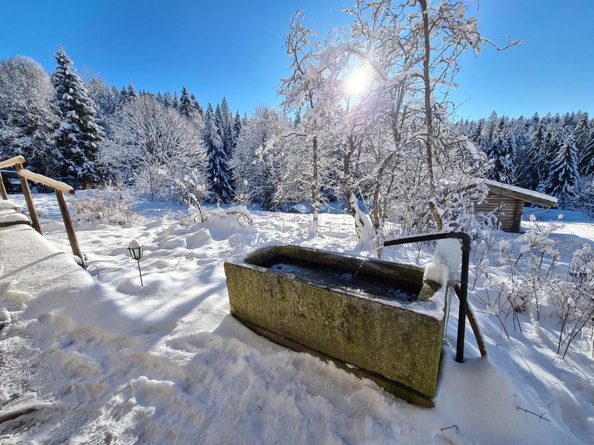 Ferienhaus Klause Neureichenau Luaran gambar